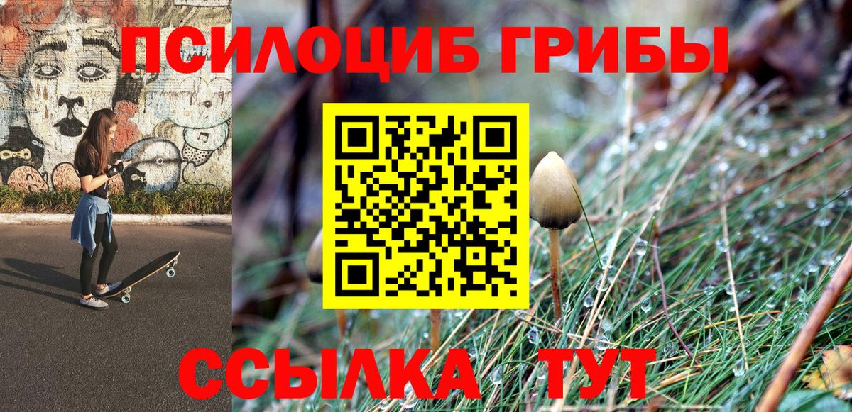 Псилоцибиновые грибы мухоморы  Псилоцибиновые грибы Cubensis  Вход с VPN  Советск 